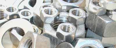 ASTM A194 316 SS Nuts