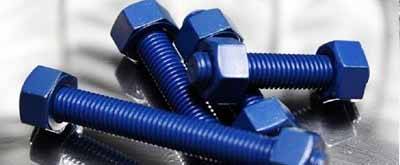 Hastelloy C276 PTFE Coated Fasteners