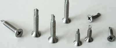 Hastelloy C2000 Screws